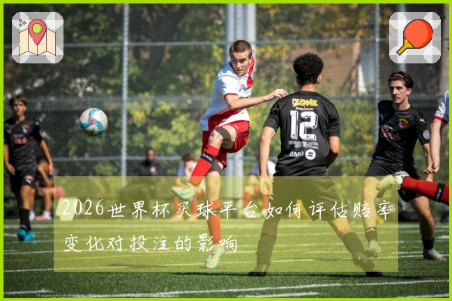 2026世界杯买球平台如何评估赔率变化对投注的影响