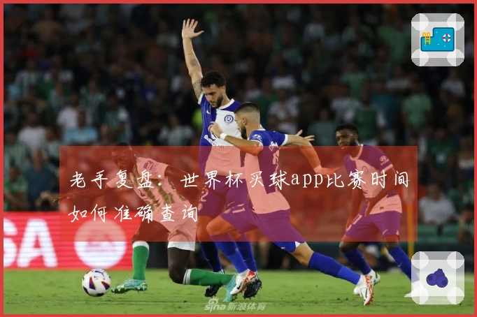 老手复盘：世界杯买球app比赛时间如何准确查询